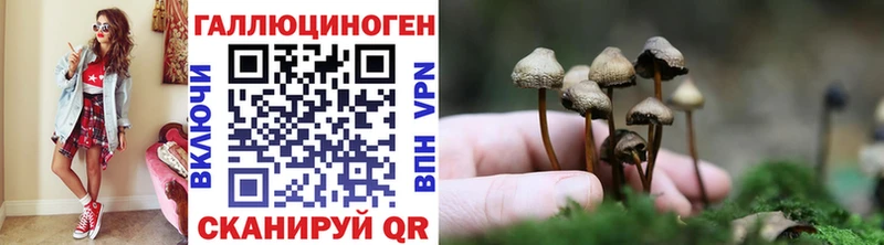 ссылка на мегу онион Николаевск Галлюциногенные грибы Psilocybine cubensis